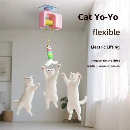 THE AUTOMATIC YO-YO TOY THAT DRIVES CATS WILD